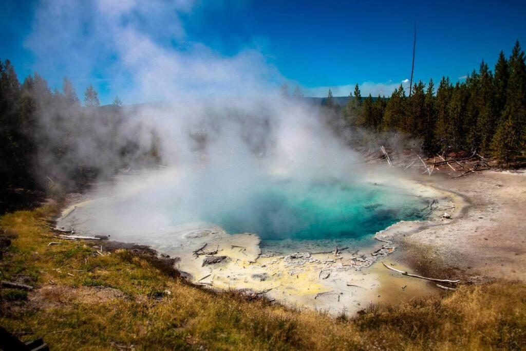 White Owl Retreat Yellowstone Grand Teton Island Park Dış mekan fotoğraf