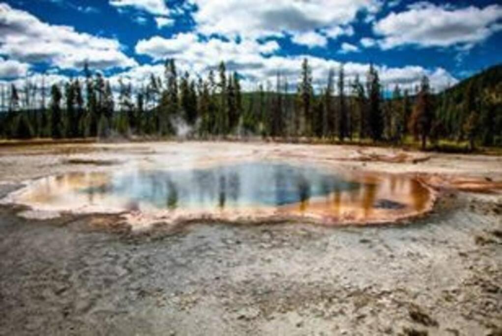 White Owl Retreat Yellowstone Grand Teton Island Park Dış mekan fotoğraf